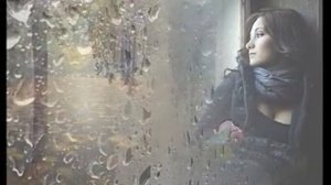 Полевые колокольчики