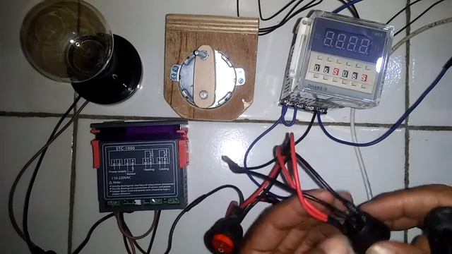 Rangkaian kabel mesin tetas telur otomatis Stc 1000 смотреть онлайн