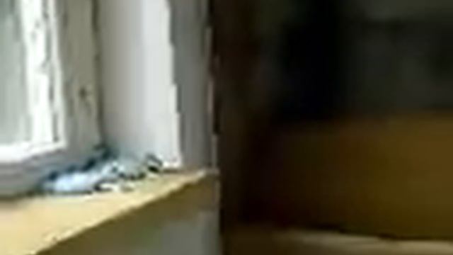 ОТДЕЛКА ЛЕТНЕГО ДУША смотреть онлайн