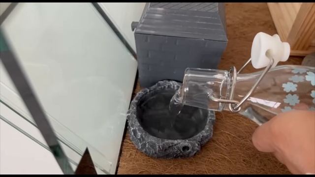 Что нужно в террариум эублефара? ??? смотреть онлайн