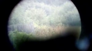 Хатсан 125 открытый прицел по бутылке на 70 метров