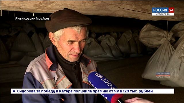 Успешный бизнес на пенсии: фермер из деревни Тюмерево уже 13 лет удачно развивает свое дело смотреть онлайн