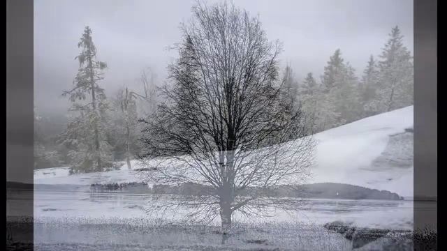 Слайд-шоу Koli (Финляндия) смотреть онлайн