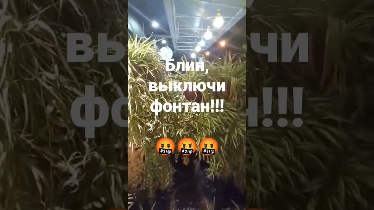 Тайланд. Местный менталитет тайцев смотреть онлайн