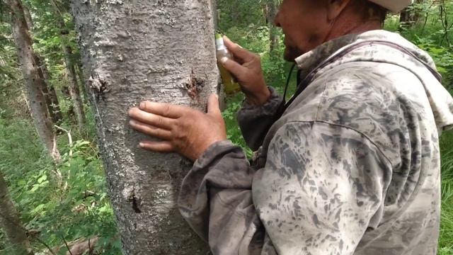 ТАЁЖНАЯ РЕКА.ВТОРОЙ ДЕНЬ В ТАЙГЕ. ПОХОД С ЕГЕРЕМ смотреть онлайн