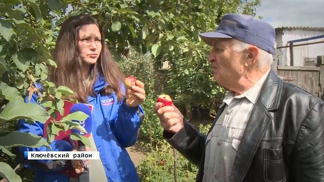 В алтайской степи садовод-любитель вывел особый выносливый сорт яблонь смотреть онлайн