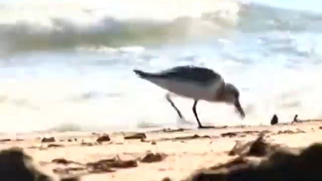 Ветер странствий №11 24.06.2015 смотреть онлайн