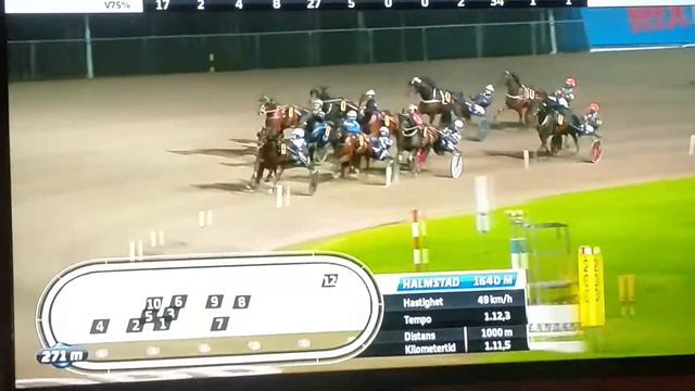 V75 Halmstad DD 2 Zio Tom Jet смотреть онлайн