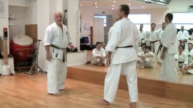 Makotokai Karate Kumite basics смотреть онлайн