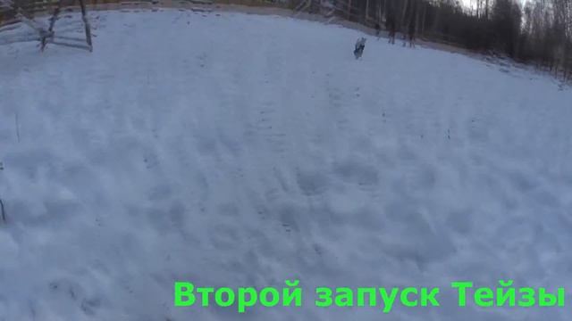 Притравка на кабана смотреть онлайн