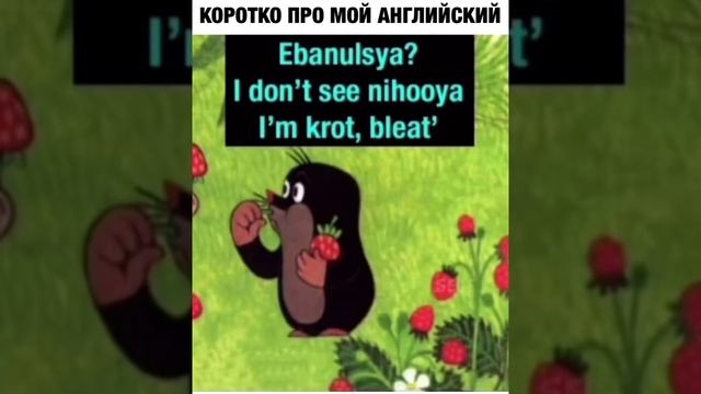 Ebanulsya? I don't see nihooya I'm krot, bleat' - Мультик крот и ежик (осторожно мат) смотреть онлайн