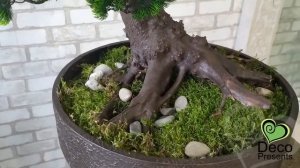 Декоративный искусственный бонсай