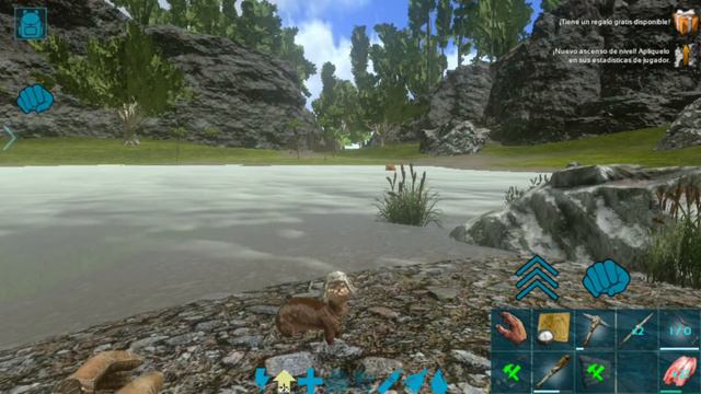 Para que sirve la Nutria en ARK mobile смотреть онлайн