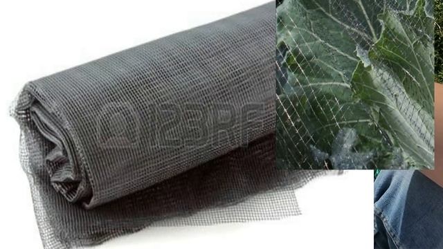 ЛУЧШИЙ СПОСОБ ЗАЩИТЫ от гусениц, колорада, моли, долгоносика, морковной, луковой и капустной мух! смотреть онлайн