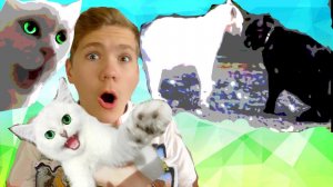 К нам пробрался  КОТ- УБИЙЦА!  КОШАЧИЙ БОЙ!!!