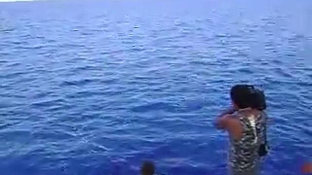 Рыбалка на красном море. смотреть онлайн