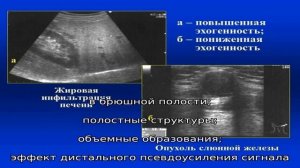 Почему эхогенность печени повышена и что это означает