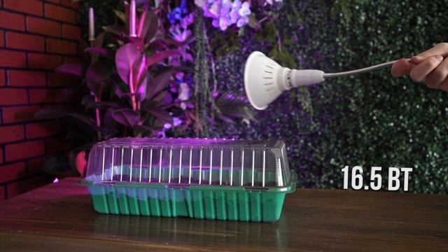 Разница мощности фитоламп ✿ Досветка рассады ✿ Какой мощности выбрать фитолампу смотреть онлайн