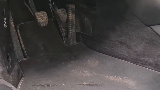 Жизнь в Цвете