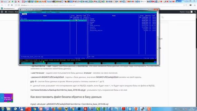 Как сделать резервную копию большой базы данных и восстановит ее по SSH смотреть онлайн