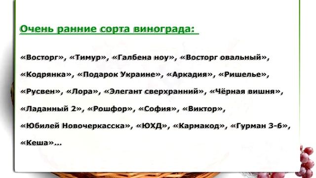 1. Классификация и выбор сортов винограда смотреть онлайн