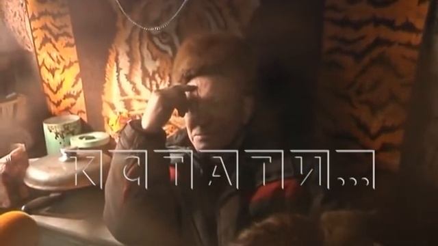 Житель Балахны бросил свою квартиру и ушел жить в лес, отшельником смотреть онлайн