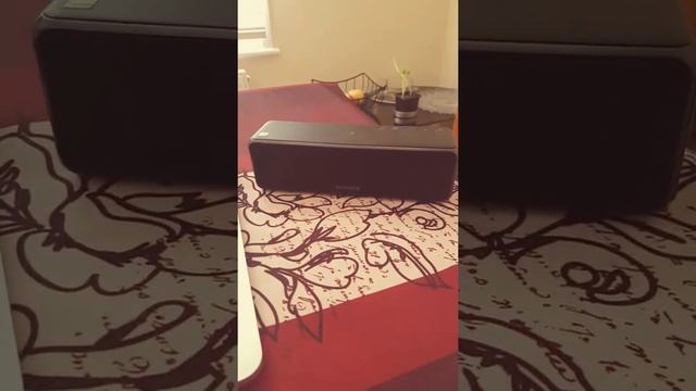 SONY SRS-HG1 смотреть онлайн