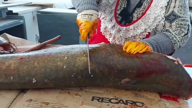 Какой "маленький" Сомик к Лидуни приехал. смотреть онлайн