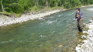 Рыбалка в Приморье. Ловля пеструшки на спининг. 2017 г.