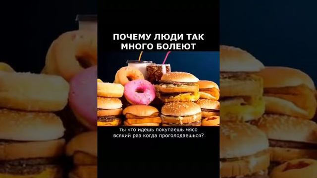Как правильно питаться по Сунне. смотреть онлайн