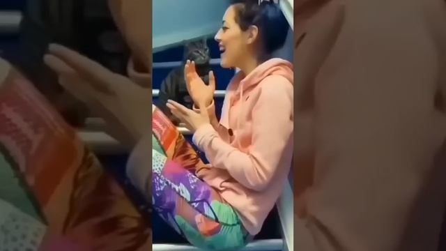 Funny animals 2022 #shorts смотреть онлайн