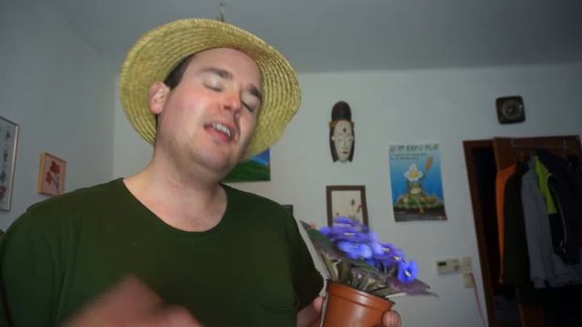 Das Usambaraveilchen als Alternative zur Primel смотреть онлайн