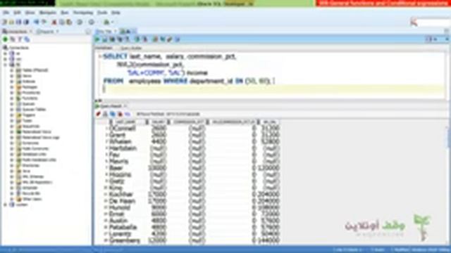 009 Oracle developer g11 General Functions and Conditional Expressions смотреть онлайн