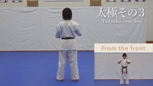 Kyokushin Kata - Taikyoku sono San (3) 太極その３ смотреть онлайн