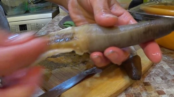 часть вторая ГУИДАК / guidac