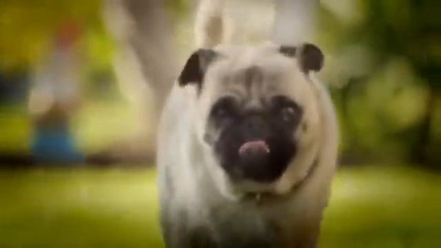 Ржачная реклама чипсов Doritos. смотреть онлайн