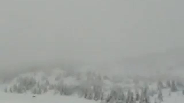 туман смотреть онлайн