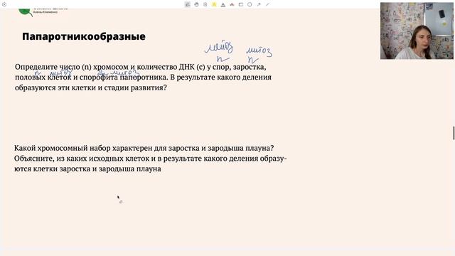 Жизненные циклы растений. Подготовка к ЕГЭ по биологии. смотреть онлайн