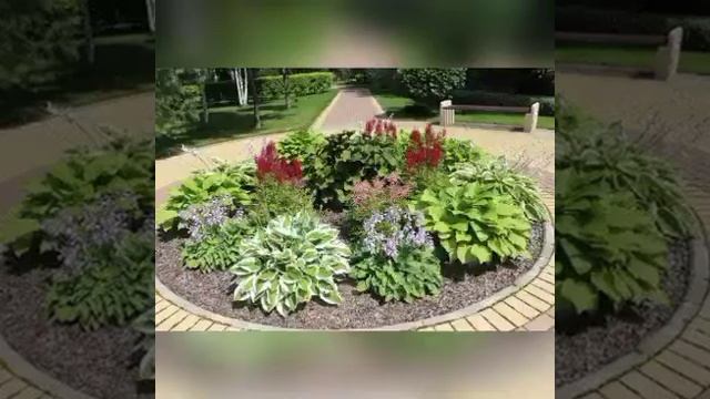 Хоста и многолетники. Идеальные композиции. смотреть онлайн