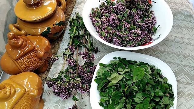 Душица – любовная трава. Запасаем впрок. Мамины вкусные рецепты. смотреть онлайн