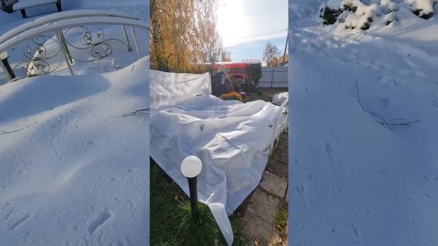 НАКРЫЛО ЛЬДОМ ВСЕ УКРЫТИЯ! Что ДЕЛАТЬ С РОЗАМИ!?