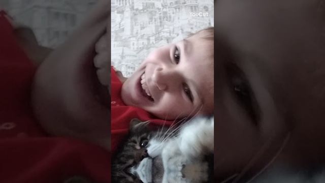 прикол