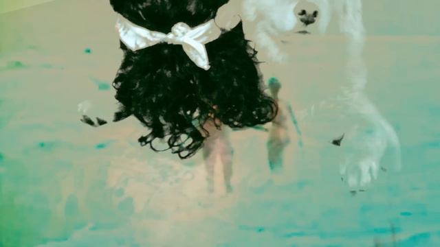 RiFF RAFF - ViP PASS TO MY HEART BY DALE DAN TONY [Official Music Video] смотреть онлайн