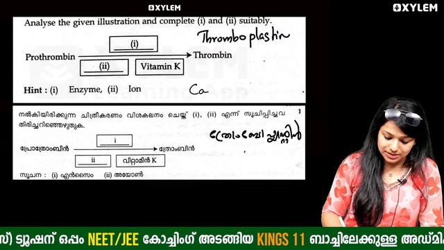 SSLC Public Exam | Biology - 100% Sure Questions | Xylem SSLC смотреть онлайн