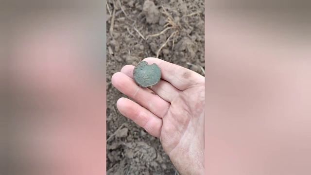 Крест за Службу на Кавказе Александр Второй