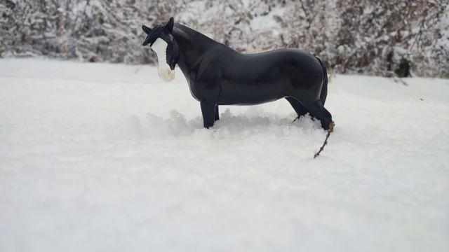 лошади breyer/Зимний клип breyer❄️/ брейер/ фотографии breyer смотреть онлайн