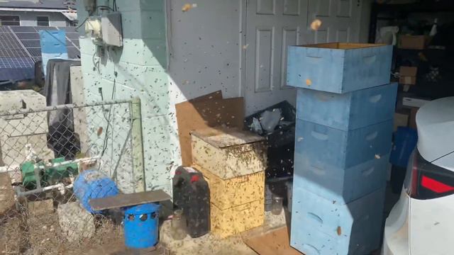 18 Февраля Рой прилетел домой смотреть онлайн