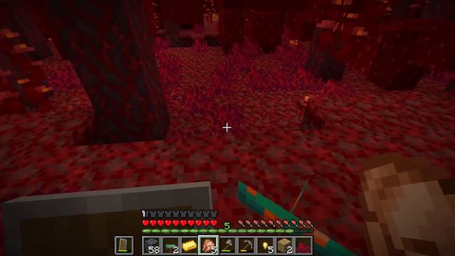 Minecraft The Nether is SO HARD AND SCARY!! смотреть онлайн