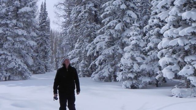 пустыня смотреть онлайн