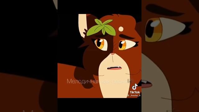 Коты - воители в Tik Tok #2 смотреть онлайн